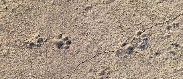 Obrazek_2025-03-18_101753197 Obrazek_2025-03-18_101753197